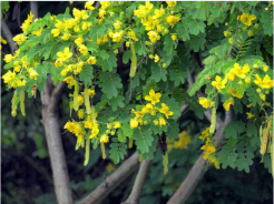  屁股上有个“排湿总开关”，这样“坐”远离湿热，全家都需要 