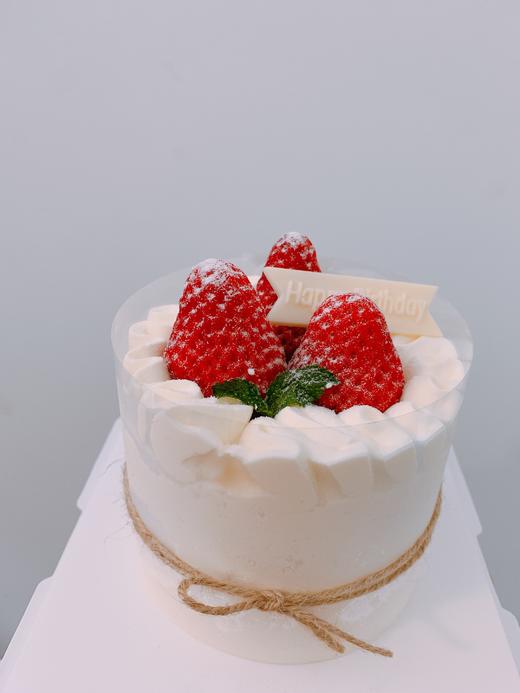 狮子家-ins风小清新生日蛋糕 纪念日蛋糕 聚会 仪式感必备 商品图0