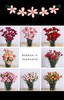 康乃馨鲜花（20支） 商品缩略图0