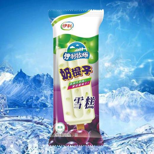 伊利奶提子雪糕65克 商品图0