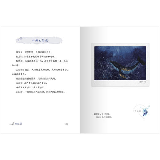 看见鹿 商品图2