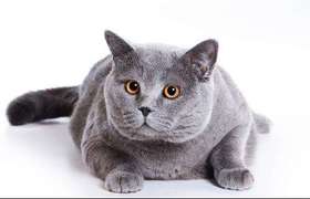 爱逛测试商品-秒杀商品（勿改）