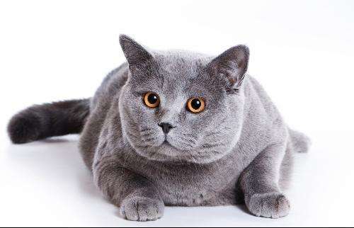 爱逛测试商品-秒杀商品（勿改） 商品图0