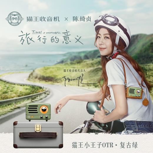 猫王 旅行者2号智能收音机/蓝牙音箱  MW-R 商品图3
