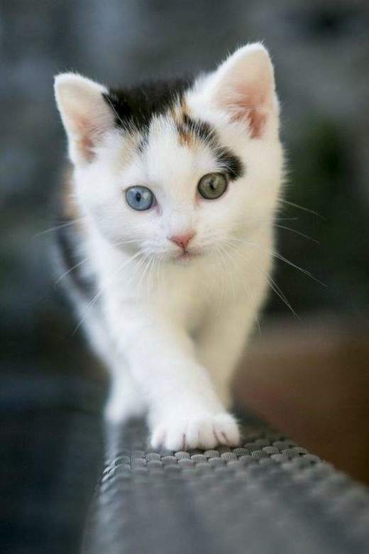 xb供货不风控专栏 商品图0