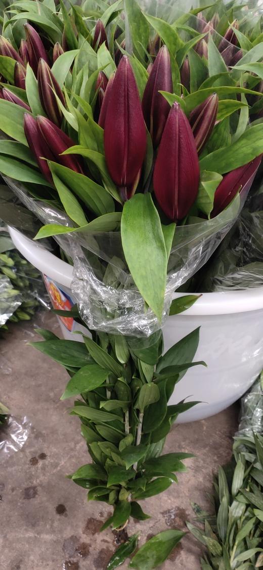 yh-百合 紫帝 2头 - 云花朵朵