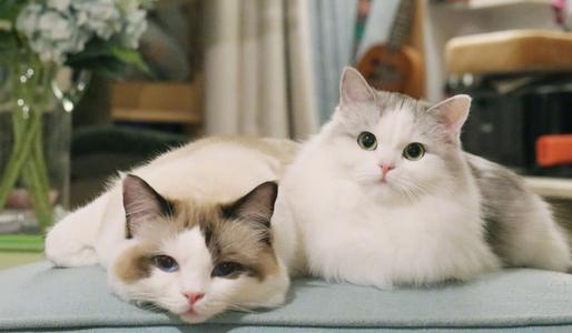 活动-不要动-zx 商品图0