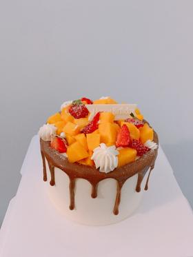 狮子家-经典水果生日蛋糕 纪念日蛋糕 聚会 仪式感必备