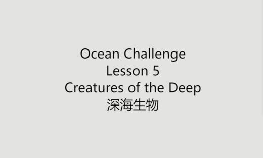 深海生物 商品图0
