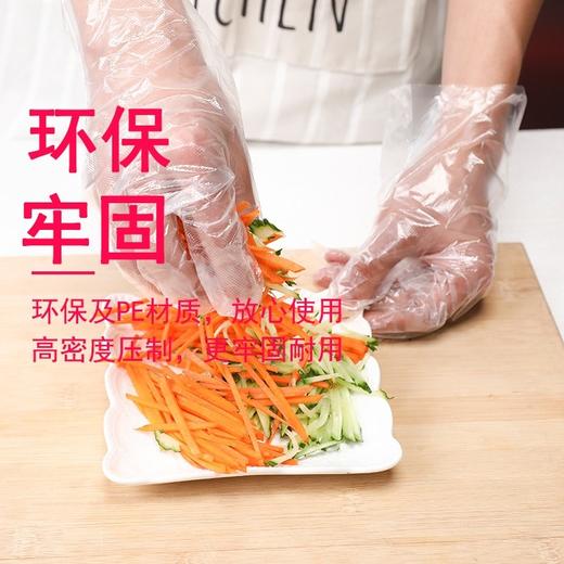 华欣一次性PE手套100只装 商品图2