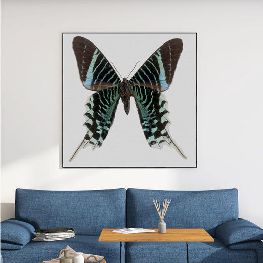 懂窝｜碧蝶 Emerald Butterfly 装饰画 Picture 商品图1