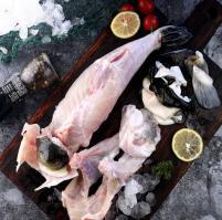 河豚鱼分割（多规格） 商品图0