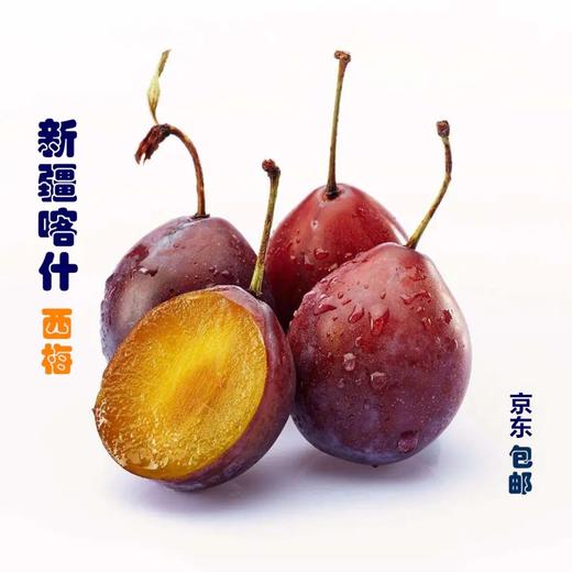 新疆喀什法兰西西梅家庭装/礼盒装 商品图0