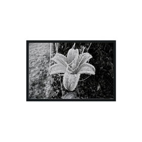 懂窝｜生命力 vitality 装饰画 Picture