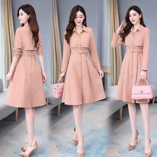 WZNH-WM66019秋新款女气质翻领优雅时尚修身显瘦连衣裙 商品图3