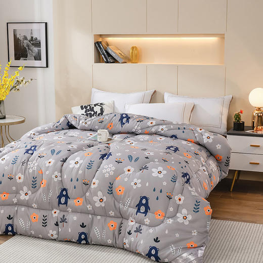 冬被加厚被子被芯棉被单双人学生宿舍被褥太空被春秋被夏季空调被 商品图8