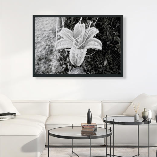 懂窝｜生命力 vitality 装饰画 Picture 商品图2