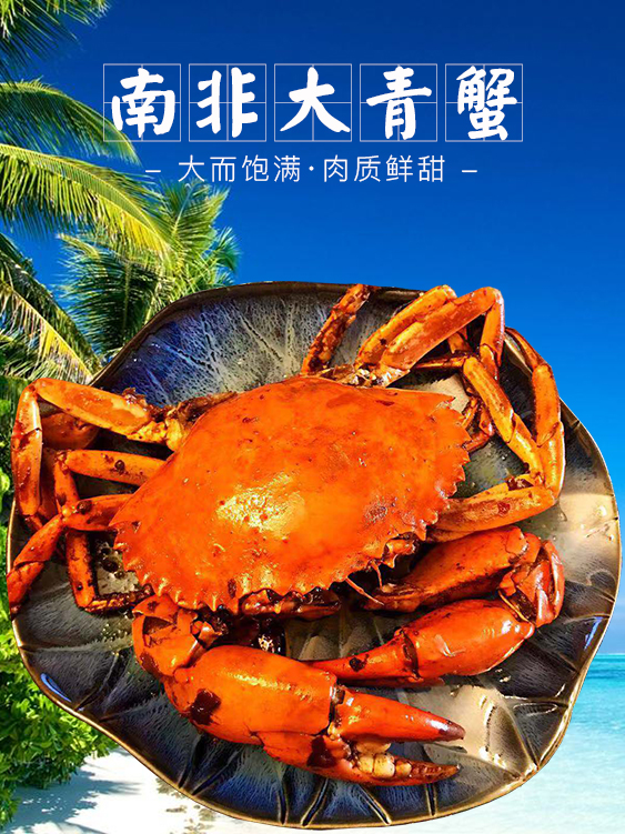【大号非洲青蟹】