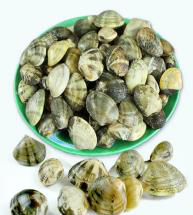 带壳蚬子350g/袋