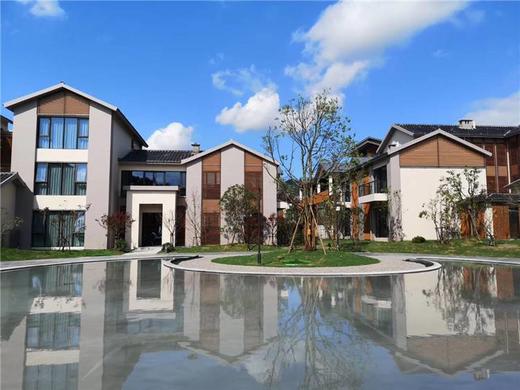 神仙居德信开元颐居酒店 商品图0