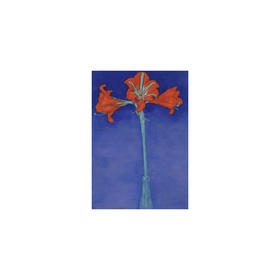 懂窝｜孤挺 Amaryllis 装饰画 Picture