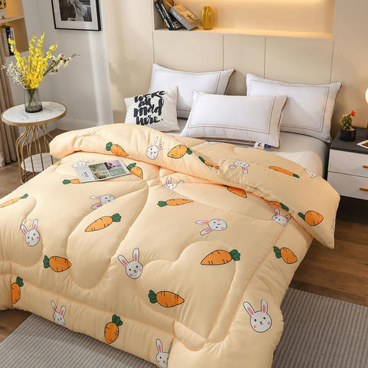 冬被加厚被子被芯棉被单双人学生宿舍被褥太空被春秋被夏季空调被 商品图6