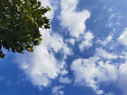 伯阳666 商品图0