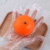 华欣一次性PE手套100只装 商品缩略图1
