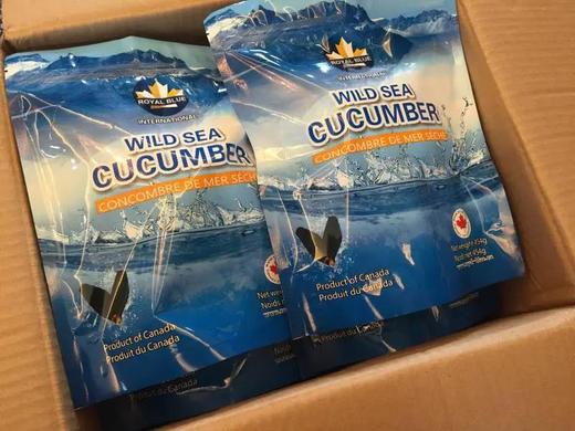 惊爆价！进口加拿大野生淡干海参454g/袋（20头等级） 4A级精品开口 商品图5