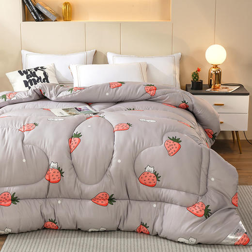 冬被加厚被子被芯棉被单双人学生宿舍被褥太空被春秋被夏季空调被 商品图7