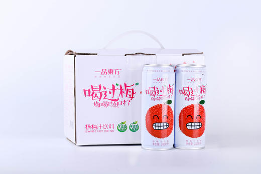 喝过梅杨梅汁12罐装（厂家直发） 商品图0