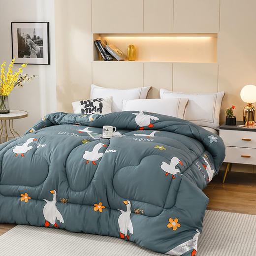 冬被加厚被子被芯棉被单双人学生宿舍被褥太空被春秋被夏季空调被 商品图1