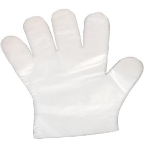 华欣一次性PE手套100只装