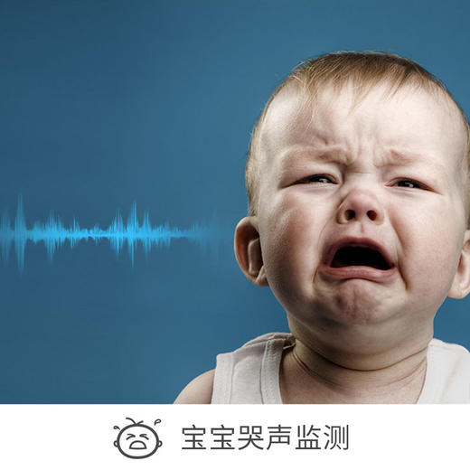 【最后30台】官方发售  小蚁智能摄像机H20  红外夜视 360°全景 大广角摄像头 商品图3