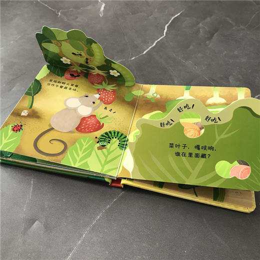 尤斯伯恩躲猫猫故事翻翻书：小老鼠，逛花园 商品图3