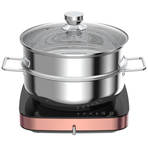 南5美的(Midea)C22-S301恒匀火电磁炉 商品图0