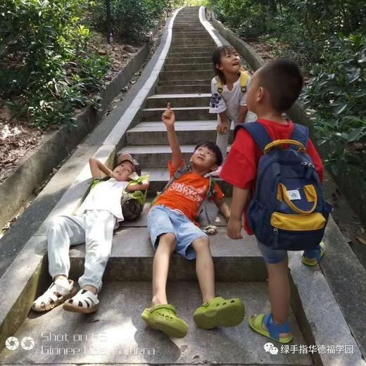 华德福学园体验课| 农园活动 * Waldorf Experience class| Farm activities 商品图3