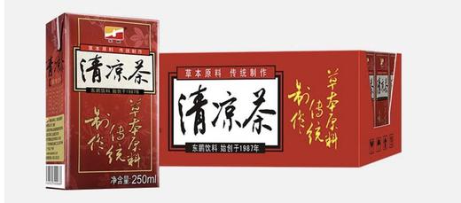 东鹏清凉茶*24支 商品图0