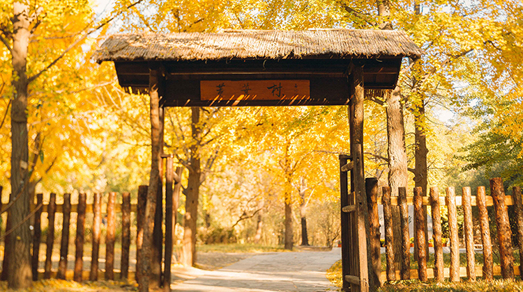 曹雪芹小道景点讲解