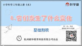 3.1.8《它们发生了什么变化》基础课程
