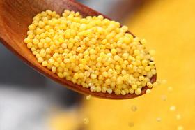  小米粥，如果熬不出米油，说明你犯了一个错误！ 