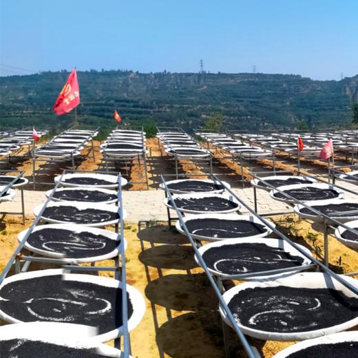 九蒸九晒 黑芝麻食圆 商品图2