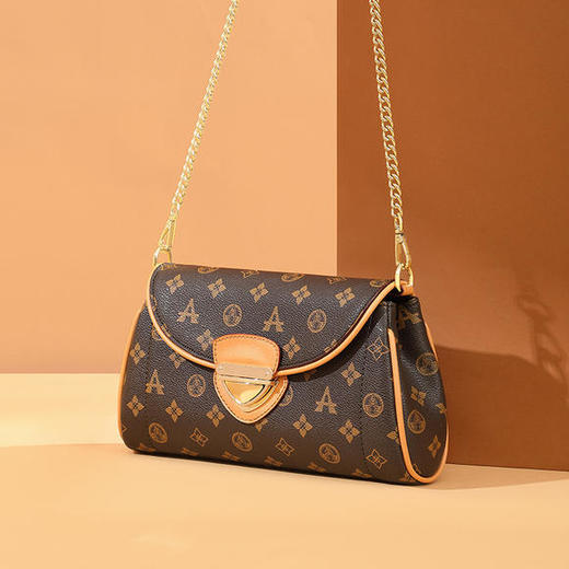 LW-HFN6830-1新款复古经典印花链条单肩斜跨包包 商品图3