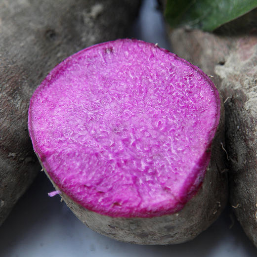 【赣南紫山药 5斤】蔬菜中的紫人参 嫩滑香甜 营养美味 - 扶贫区优选