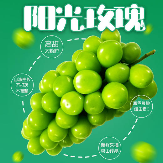 阳光玫瑰晴王葡萄5斤/箱（±2两） 商品图0