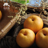 有机圆黄梨 | 合作生产 *Organic Yuanghuang pear | Coproduction 商品缩略图6