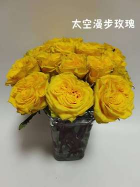 【秒杀福利】月光漫步 20支/扎