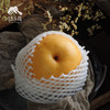 有机圆黄梨 | 合作生产 *Organic Yuanghuang pear | Coproduction 商品缩略图3