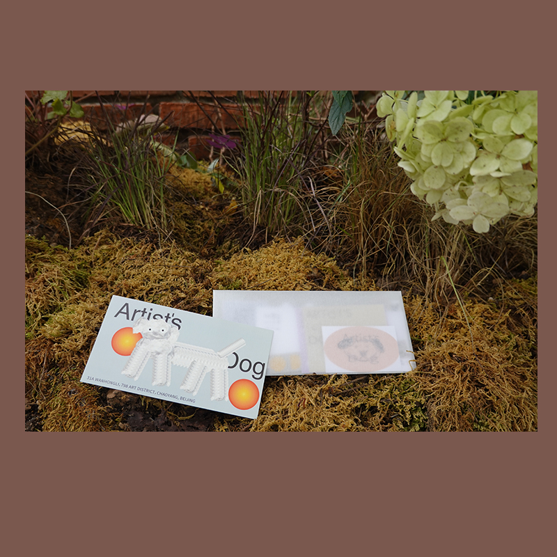 「艺术家的狗」便利贴明信片套装