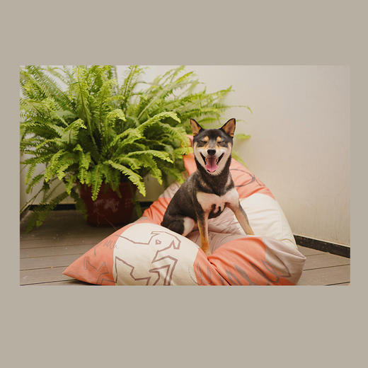 「艺术家的狗」懒人沙发粽子款 商品图0